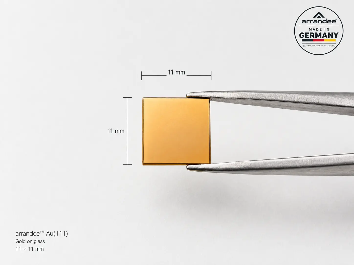 11 x 11 mm arrandee Au(111) gold substrate held with laboratory tweezers